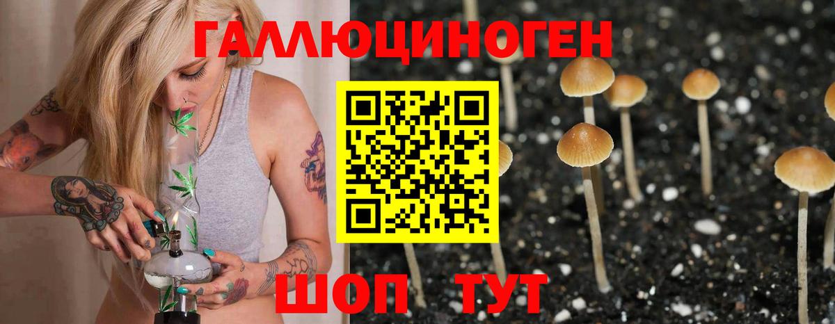 Надым  Галлюциногенные грибы мицелий  Вход с VPN  Галлюциногенные грибы Psilocybe 